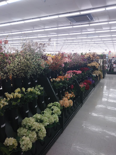 Craft Store «Hobby Lobby», reviews and photos, 150 E Oak St, Conway, AR 72032, USA