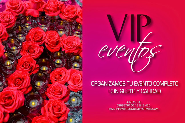 VIP eventos - Organizador de eventos