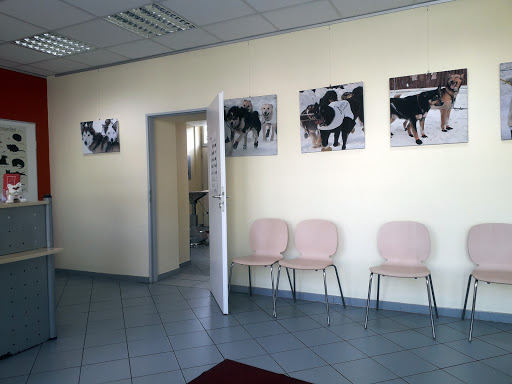 Kleintierpraxis Dr. Tanja Kruse | Bremen unter Bremen, Bremen