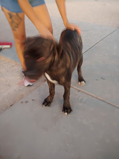 Park «Centennial Hills Park», reviews and photos, 7101 N Buffalo Dr, Las Vegas, NV 89131, USA