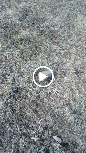 Grocery Store «Giant Food Stores», reviews and photos, 14 Newport Plaza, Newport, PA 17074, USA