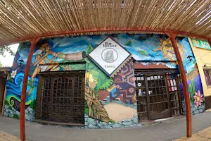 Bar iguana image