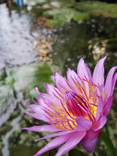 Explore just breathe tattoo ideas, creative tattoo ideas in Syracuse, available at Oculus Tattoo Lounge