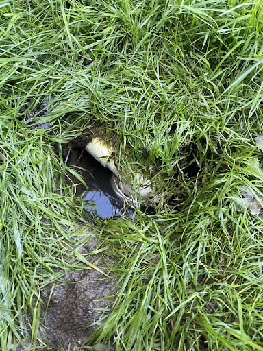 Waterproofing Company «Ohio Basement Systems», reviews and photos