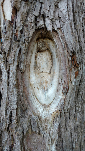 Nature Preserve «Shannondale Springs Wildlife Management Area», reviews and photos, Co Rte 9/5, Harpers Ferry, WV 25425, USA