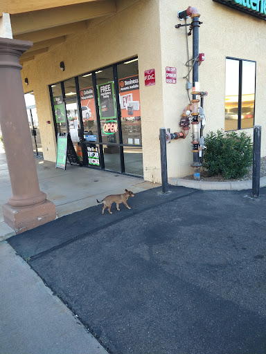 Car Battery Store «Batteries Plus Bulbs», reviews and photos, 12845 W Bell Rd, Surprise, AZ 85378, USA