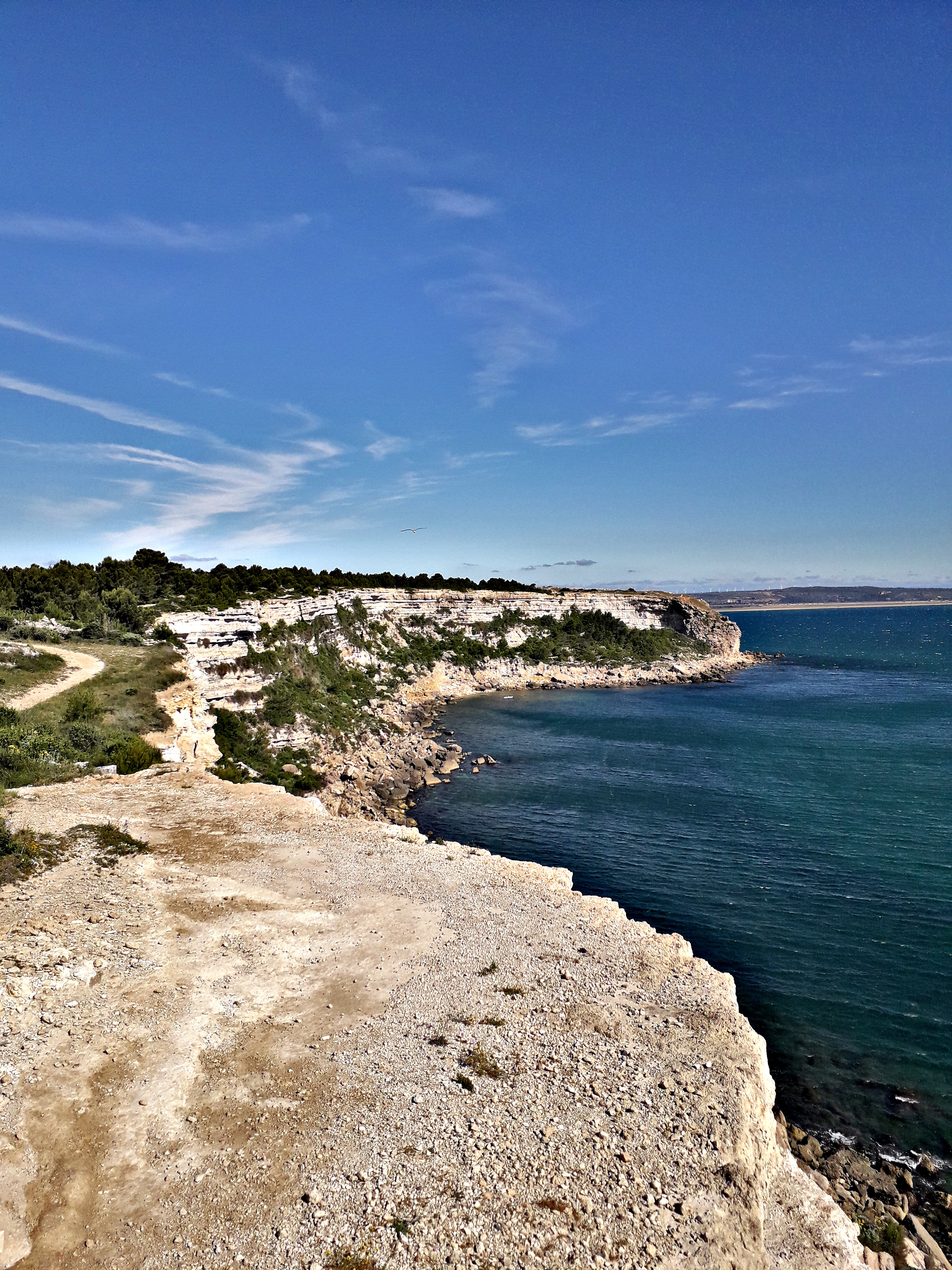 Photo n° 1 de l'avis de Regis.e fait le 23/06/2019 à 05:32