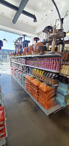 LOLY لولي متجر مستلزمات حيوانات اليفة 