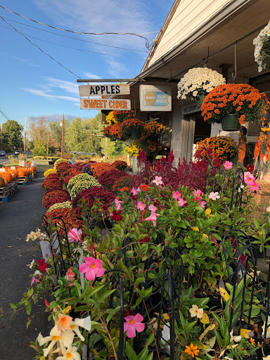 Produce Market «Stauffer Fruit Stand», reviews and photos, RR 663, Pennsburg, PA 18073, USA