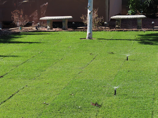 West Coast Turf/Western Sod - Scottsdale