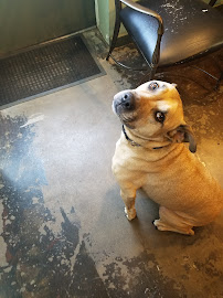 Christian's Auto Repair - Photo 3 - Car repair in Grapevine, TX, Irving