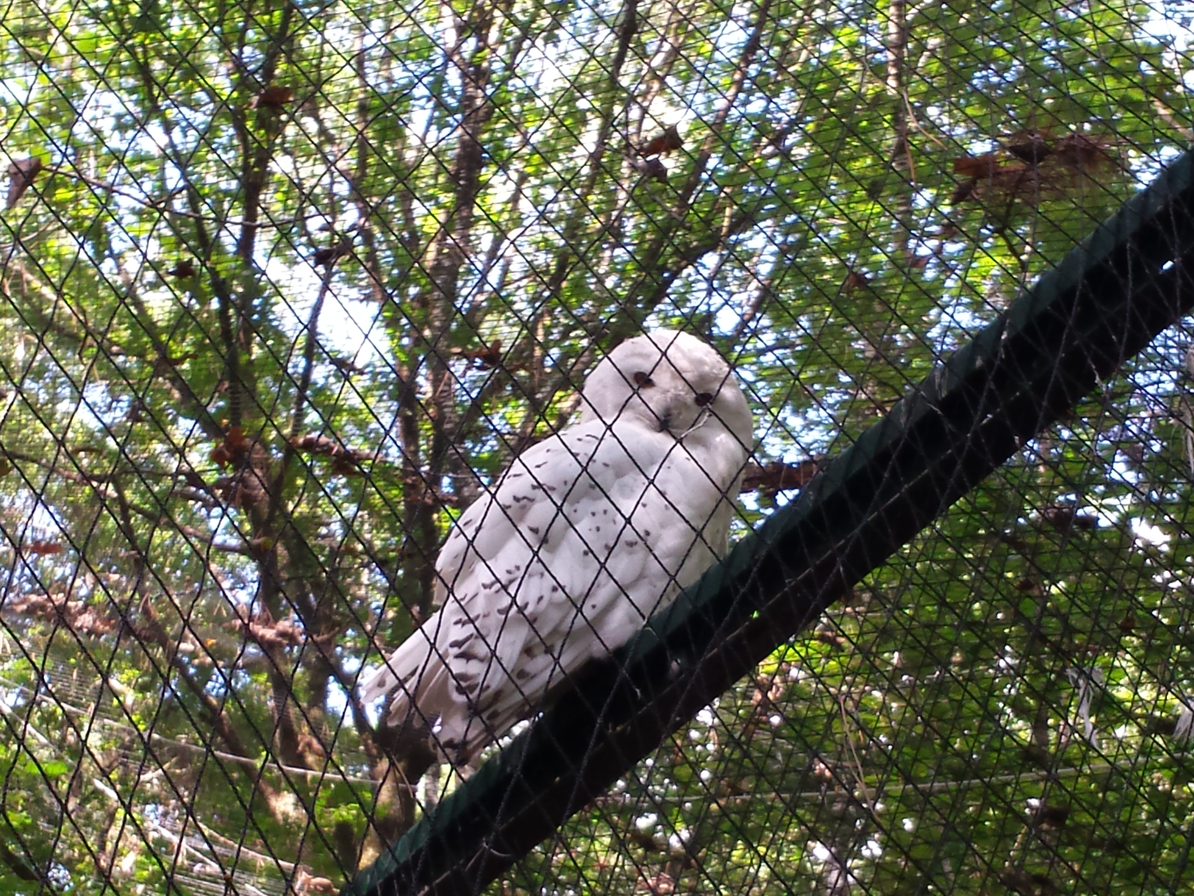 Photo n° 1 de l'avis de Jp.c fait le 22/08/2017 à 09:52