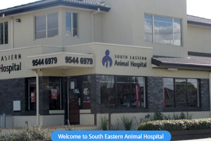 South Eastern Animal Hospital image