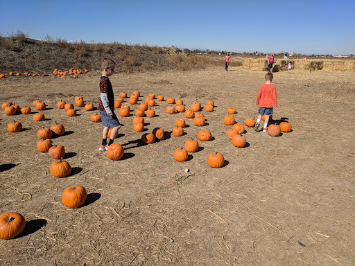 Produce Market «Berry Patch Farms», reviews and photos, 13785 Potomac St, Brighton, CO 80601, USA