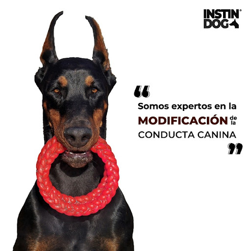 Instindog Intervención Canina