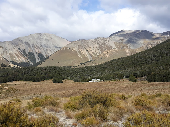Forest Lodge - Christchurch