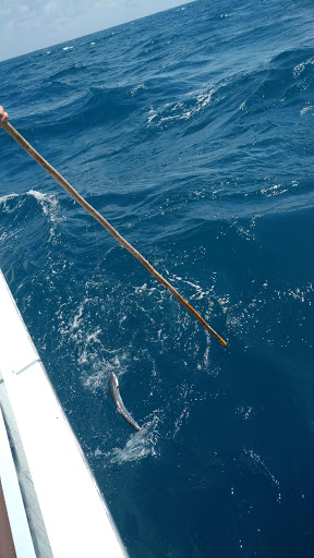 Fishing Charter «Flamingo Deep Sea Fishing», reviews and photos, 801 Seabreeze Blvd, Fort Lauderdale, FL 33316, USA