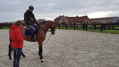 Haras de Lannay à Mouchin