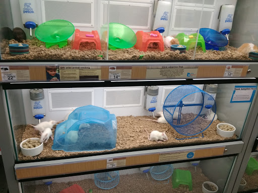 Pet Supply Store «Petco Animal Supplies», reviews and photos, 1419 Towne Square Blvd NW, Roanoke, VA 24019, USA