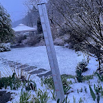 Photo n°1 de l'avis de polnischer.b fait le 16/04/2024 à 09:25 sur le  Hotel Edelweiss à Willingen