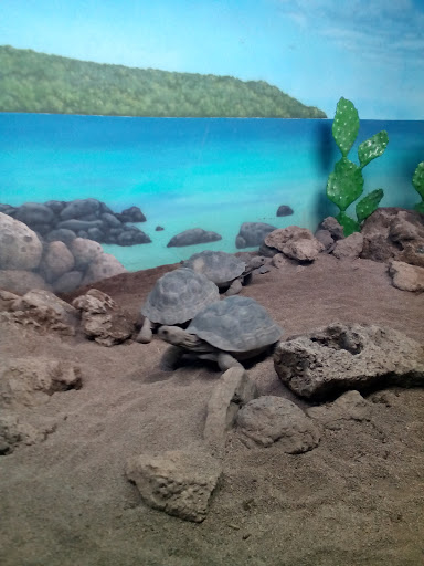 Zoo «Bronx Zoo», reviews and photos, 2300 Southern Blvd, Bronx, NY 10460, USA