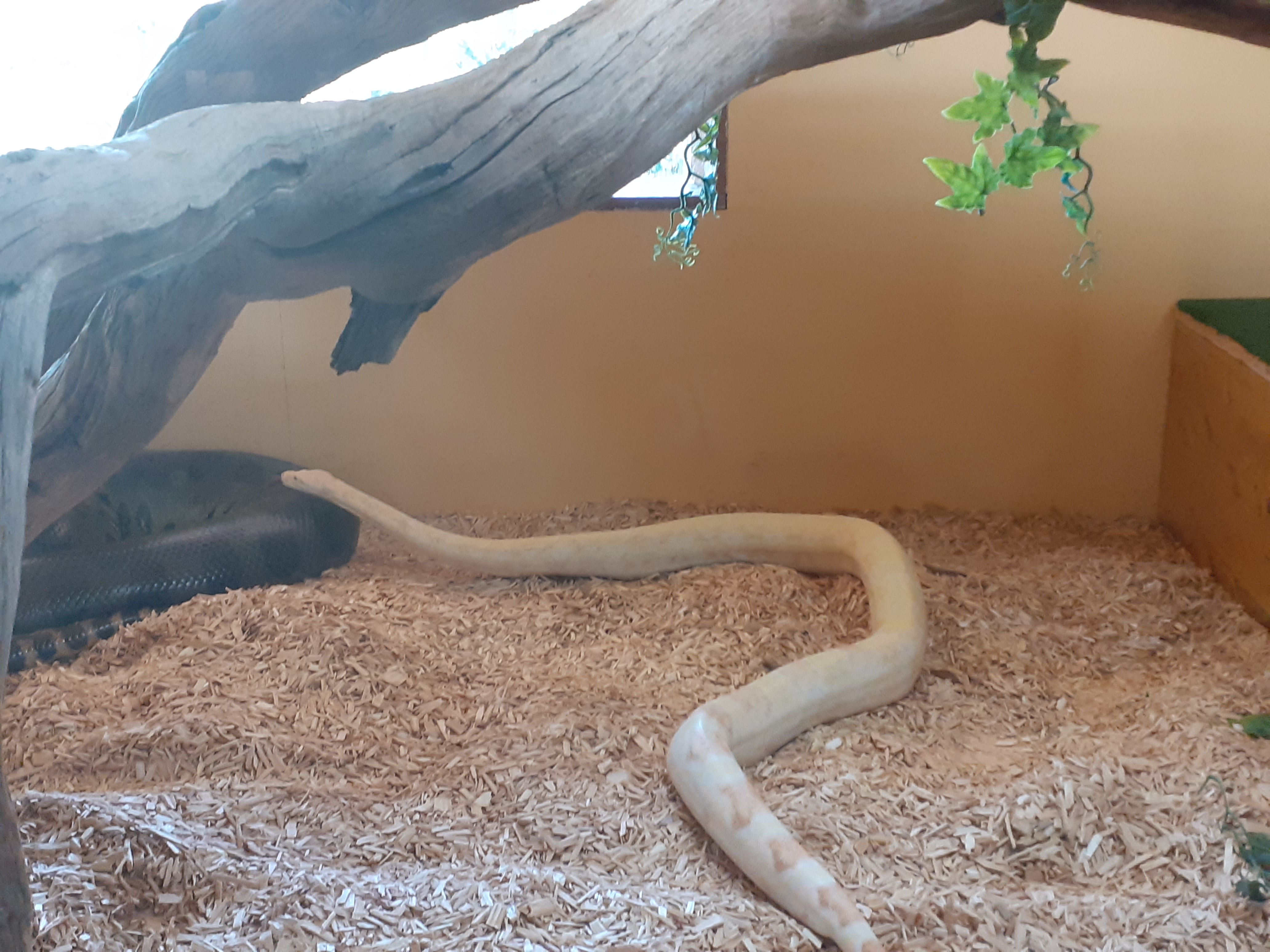 Photo n° 10 de l'avis de valjeux. fait le 26/07/2022 à 11:30