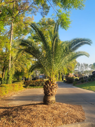 Golf Club «Marcus Pointe Golf Club», reviews and photos, 2500 Oak Pointe Dr, Pensacola, FL 32505, USA