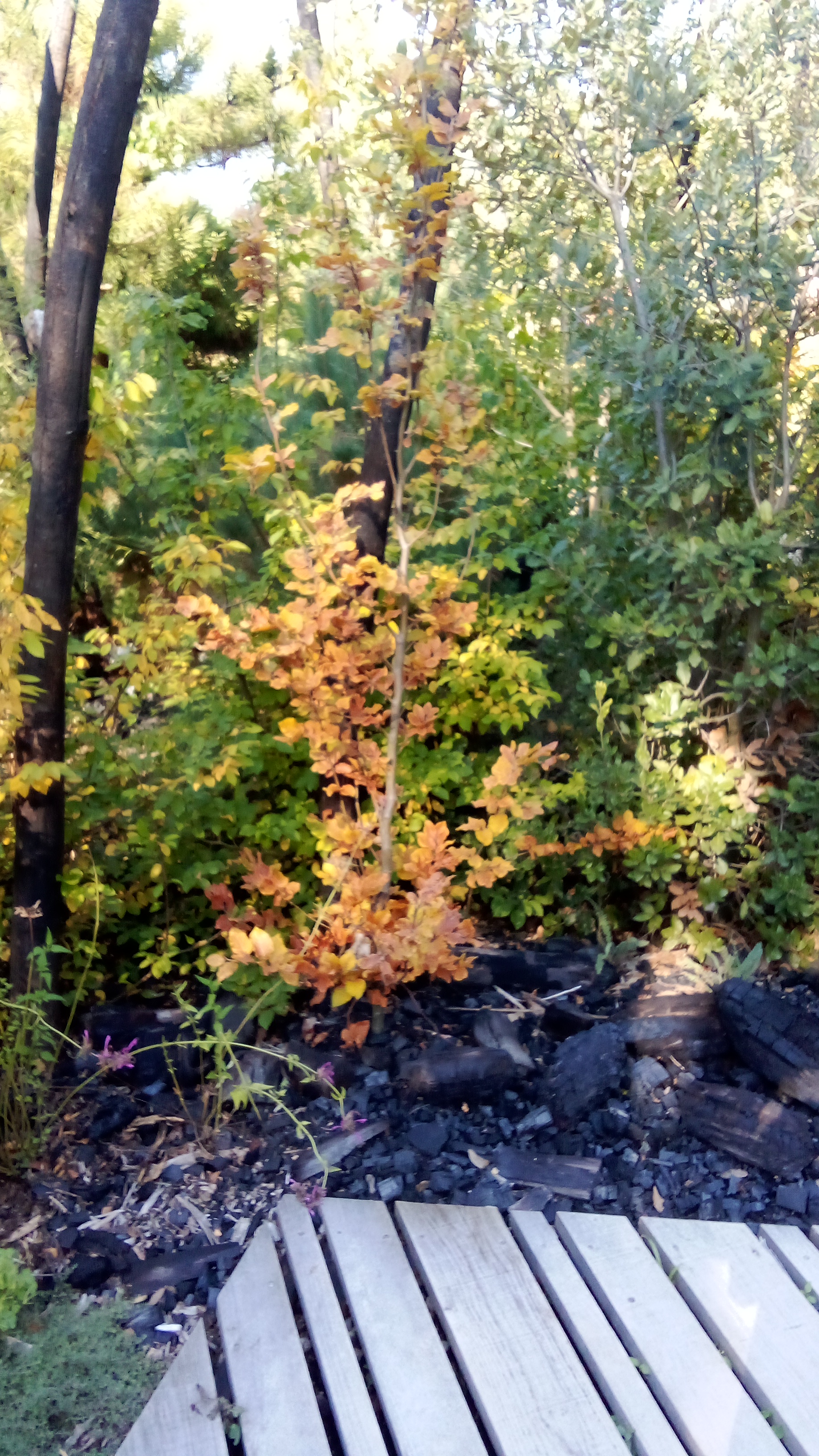 Photo n° 2 de l'avis de moel.o fait le 02/10/2023 à 17:52