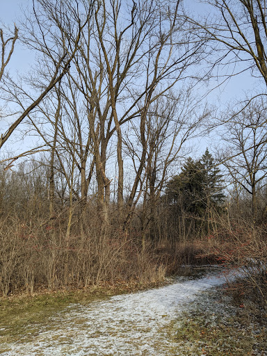 Nature Preserve «Scio Woods Preserve», reviews and photos, Scio Church Rd, Ann Arbor, MI 48103, USA