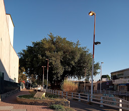 Hotel Santa Fe photo