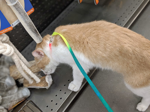 Pet Supply Store «Petco Animal Supplies», reviews and photos, 12444 NW 10th St #301, Yukon, OK 73099, USA