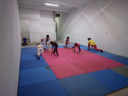 Taekwondo Panamericano 