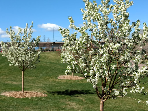 Park «City of Cuernavaca Park», reviews and photos, 3500 Rockmont Dr, Denver, CO 80202, USA