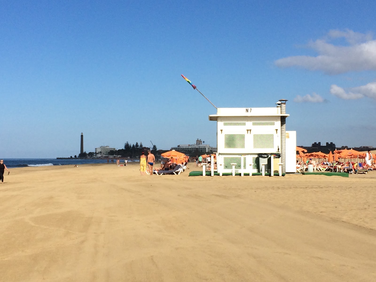 Maspalomas Wild photo #8