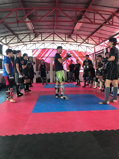 KRIEGER FORCE MMA - FUNCTIONAL TRAINING CENTER