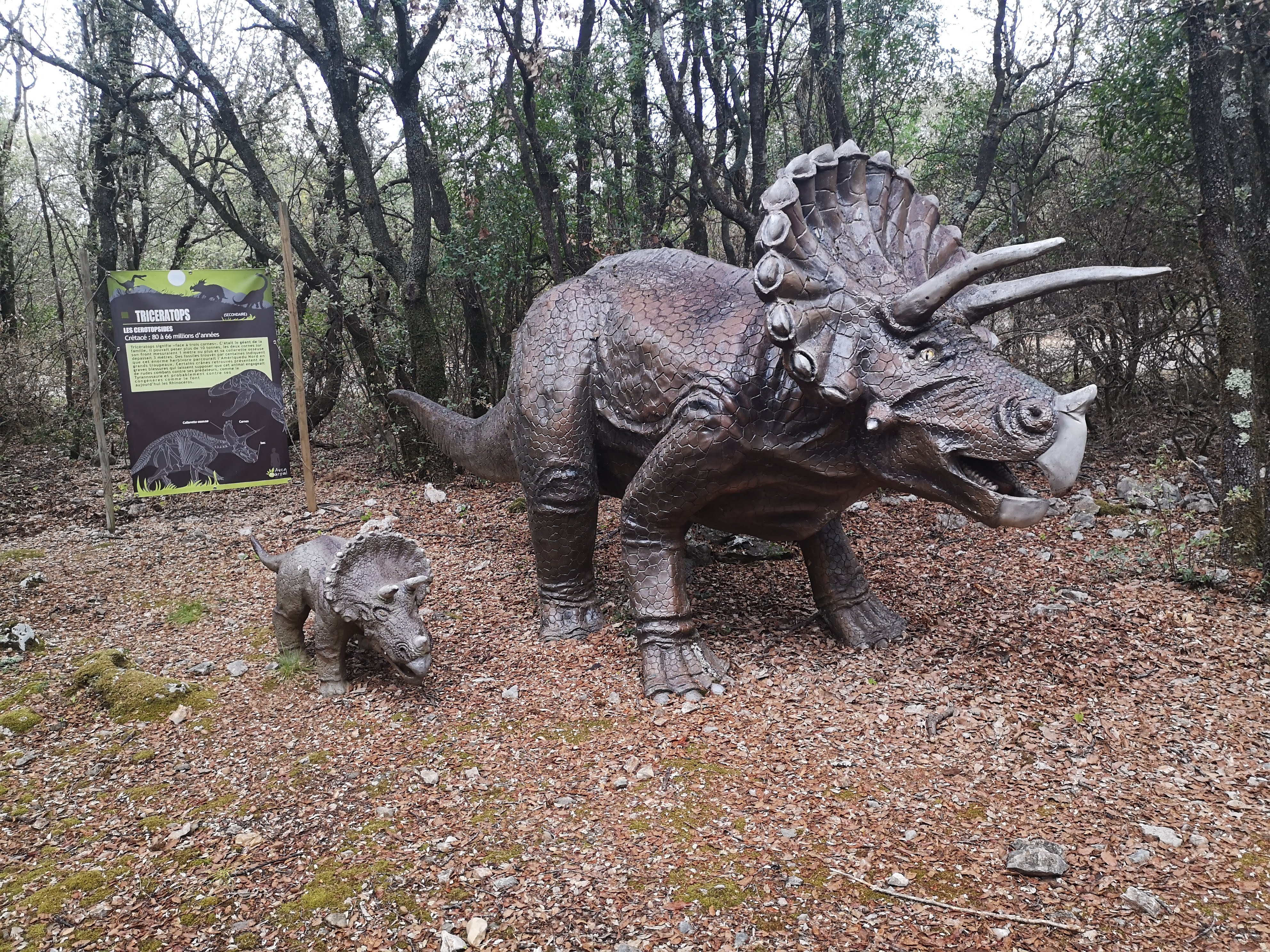 Photo n° 16 de l'avis de Grazziella.e fait le 27/08/2019 à 12:35