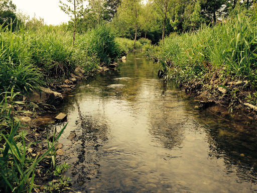 Community Center «Winfield Village Office & Community Room», reviews and photos, 425 Paddock Dr E, Savoy, IL 61874, USA