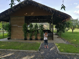 ที่พัก และกางเต็นท์