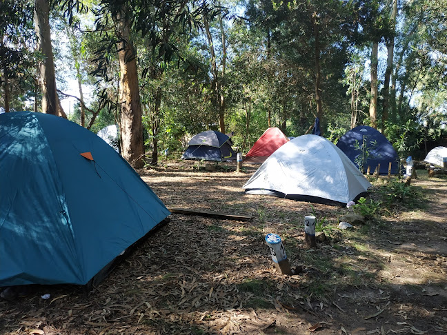 Camping Quintana - Camping