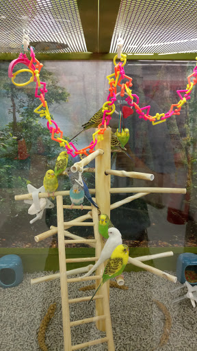 Pet Supply Store «Petco Animal Supplies», reviews and photos, 125 Lincoln Hwy, Exton, PA 19341, USA