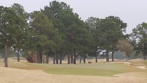 Public Golf Course «Cypress Lakes Golf Course», reviews and photos, 18700 Cypresswood Dr, Cypress, TX 77429, USA