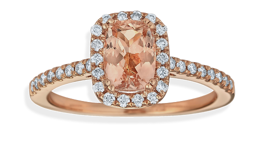 Jewelry Store «Van Scoy Jewelers», reviews and photos, 2733 Paper Mill Rd, Wyomissing, PA 19610, USA