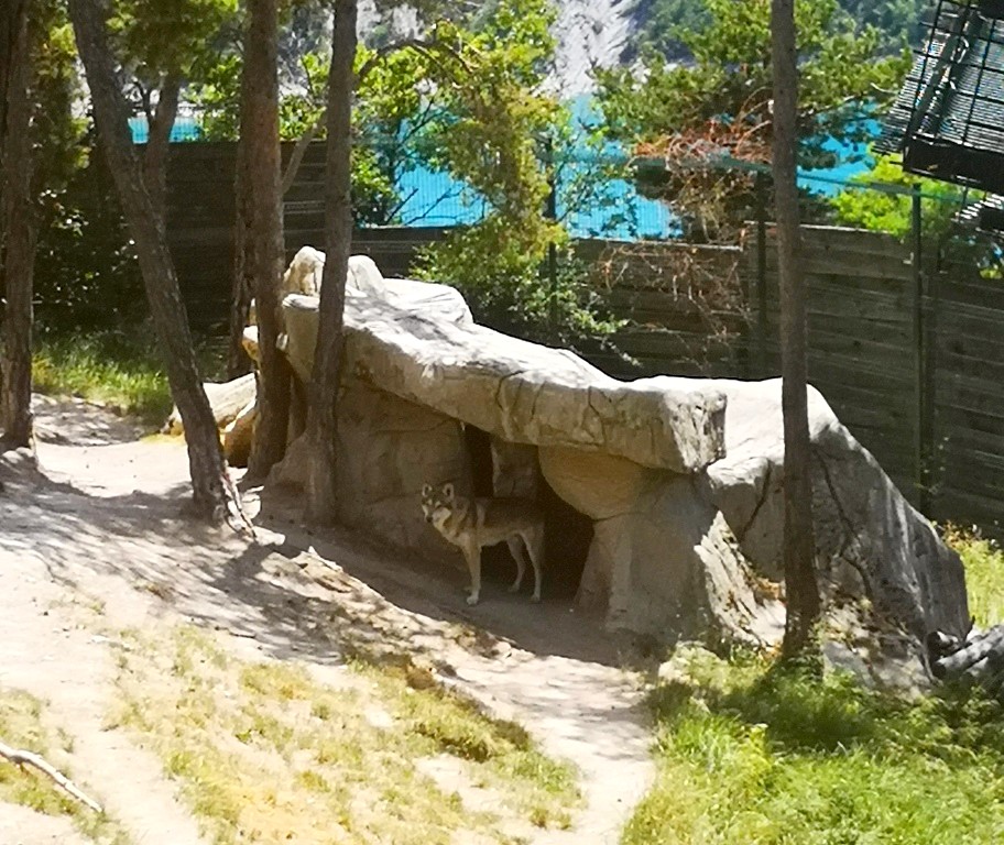 Photo n° 10 de l'avis de Thierry.E fait le 17/06/2022 à 17:40