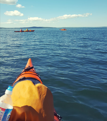 Tourist Information Center «Coastal Kayaking Tours Inc», reviews and photos, 48 Cottage St, Bar Harbor, ME 04609, USA