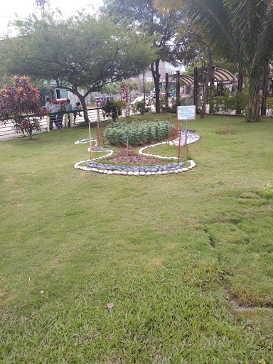 Plaza de Armas de Pucallpa