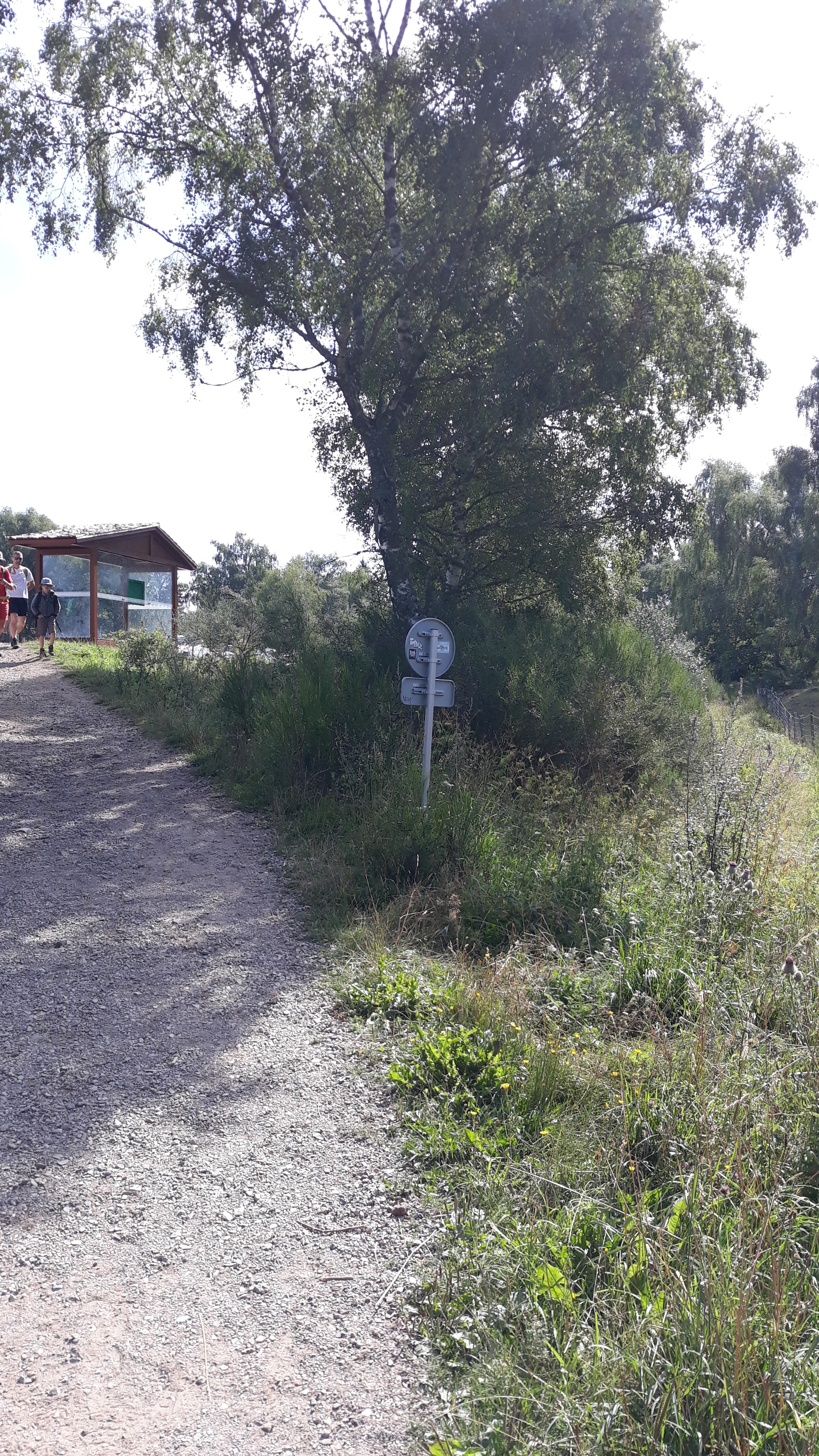 Photo n° 11 de l'avis de Mathis.l fait le 17/08/2019 à 07:13