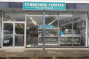Turquoise Coyote image