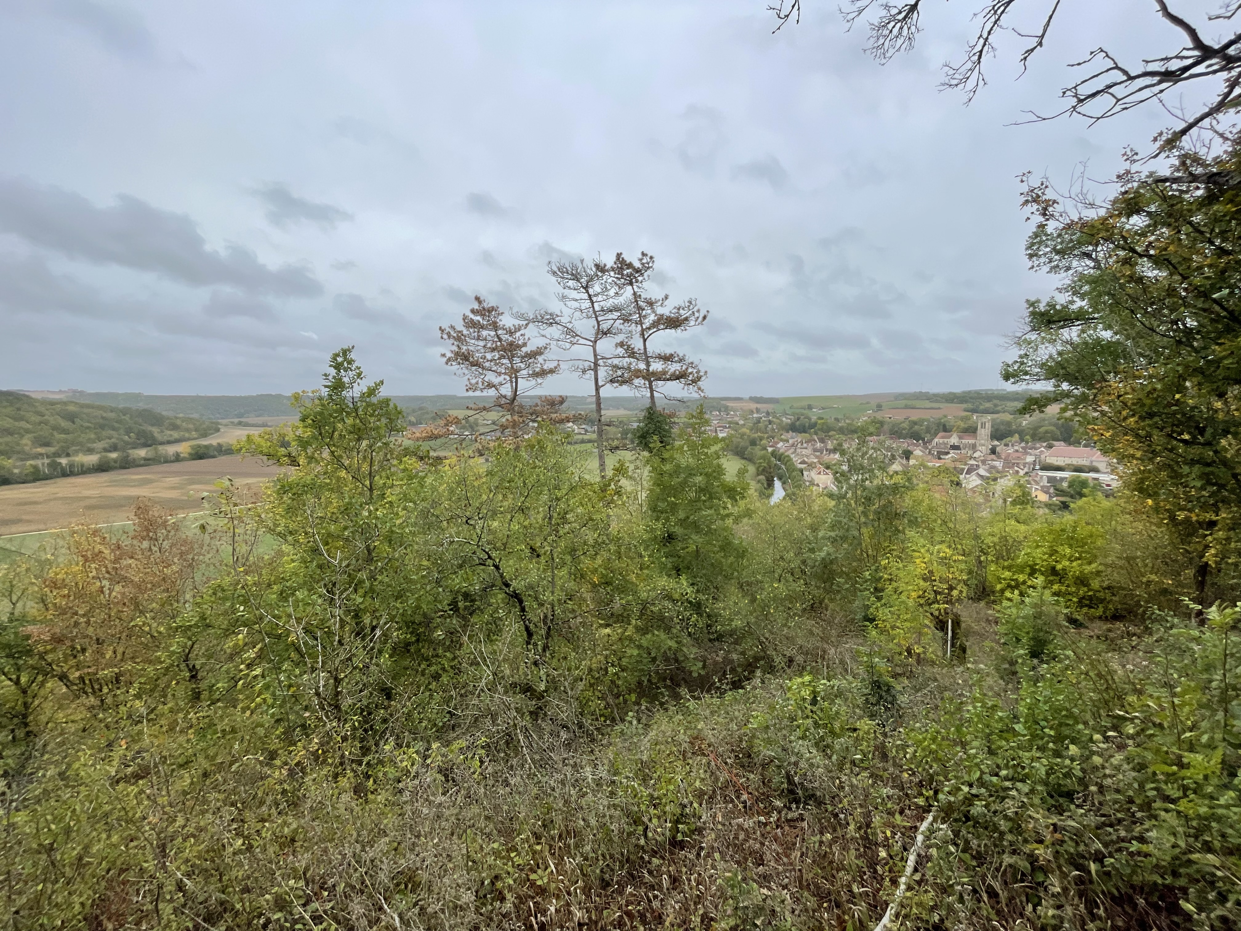 Photo n° 3 de l'avis de A. fait le 27/10/2023 à 17:56