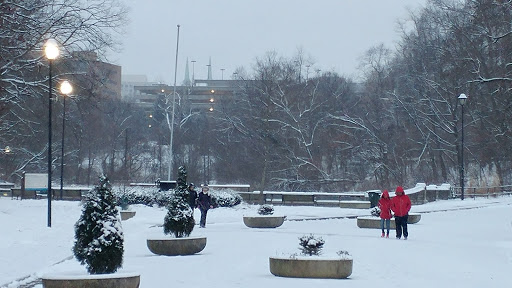 Park «Burnet Woods», reviews and photos, 3251 Brookline Ave, Cincinnati, OH 45220, USA