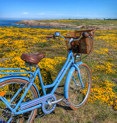 Beach Bikes - La Cotinière - Location de Vélo à Saint-Pierre-d'Oléron